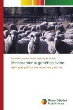 Melhoramento genetico ovino