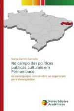 No campo das politicas publicas culturais em Pernambuco