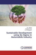 Sustainable Development using Six Sigma in Automobile Industry