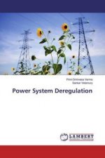 Power System Deregulation