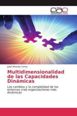 Multidimensionalidad de las Capacidades Dinamicas
