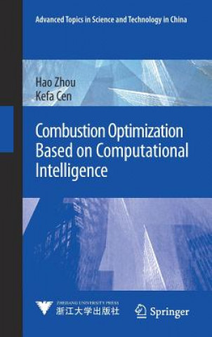 Combustion Optimization Based on Computational Intelligence