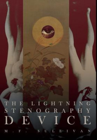 Lightning Stenography Device