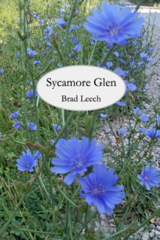 Sycamore Glen