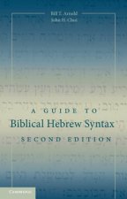 Guide to Biblical Hebrew Syntax
