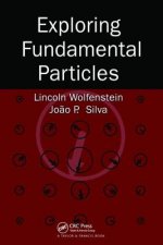 Exploring Fundamental Particles