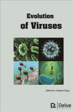 Evolution of Viruses