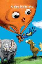 Day in the Sky
