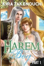 Harem Boy, Part 1