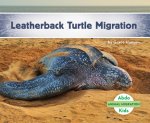 Leatherback Turtle Migration