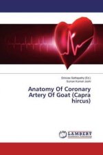Anatomy Of Coronary Artery Of Goat (Capra hircus)