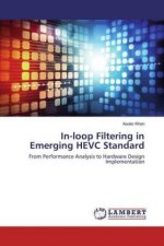 In-loop Filtering in Emerging HEVC Standard