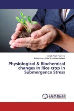 Physiological & Biochemical changes in Rice crop in Submergence Stress