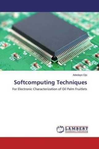 Softcomputing Techniques