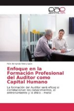 Enfoque en la Formacion Profesional del Auditor como Capital Humano