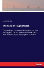 Falls of Taughannock