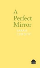 Perfect Mirror