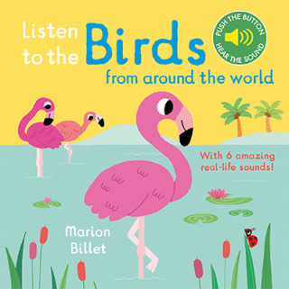 Listen to the Birds From Around the World