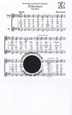Violin Circle