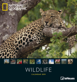 National Geographic Wildlife 2019