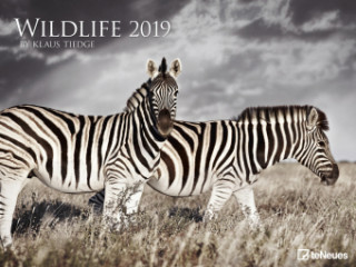 Wildlife 2019