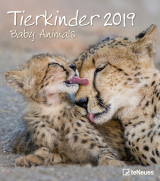 Tierkinder 2019