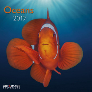 Oceans 2019 A&I