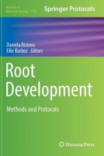 Root Development