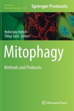 Mitophagy