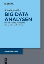 Big Data Analysen