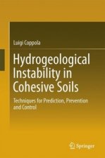Hydrogeological Instability in Cohesive Soils
