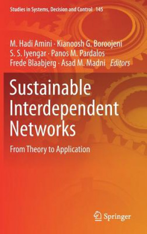 Sustainable Interdependent Networks