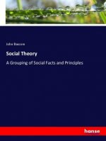 Social Theory