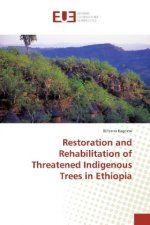 Restoration and Rehabilitation of Threatened Indigenous Trees in Ethiopia