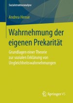 Wahrnehmung Der Eigenen Prekaritat