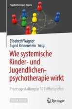Wie systemische Kinder- und Jugendlichenpsychotherapie wirkt, m. 1 Buch, m. 1 E-Book
