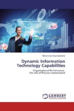 Dynamic Information Technology Capabilities