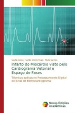 Infarto do Miocardio visto pelo Cardiograma Vetorial e Espaco de Fases