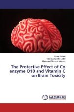 The Protective Effect of Co enzyme Q10 and Vitamin C on Brain Toxicity