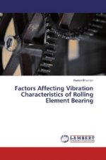 Factors Affecting Vibration Characteristics of Rolling Element Bearing