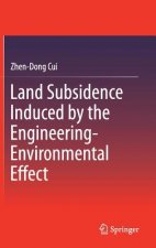 Land Subsidence Induced by the Engineering-Environmental Effect