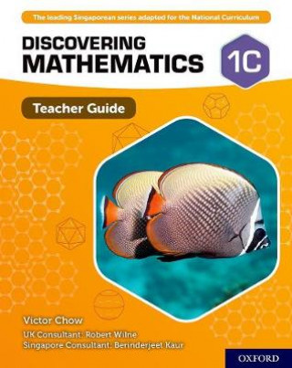 Discovering Mathematics: Teacher Guide 1C