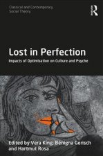 Lost in Perfection