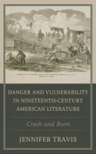 Danger and Vulnerability in Nineteenth-century American Literature