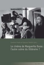 Le Cinema de Marguerite Duras: l'Autre Scene Du Litteraire ?