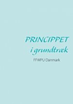 Princippet i grundtraek