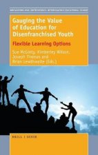 Gauging the Value of Education for Disenfranchised Youth