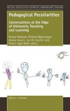 CIFL Pedagogical Peculiarities