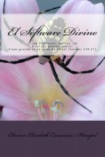 El Software Divino: Cuan Preciosos, me son, oh Dios tus pensamientos!Cuan grande es la suma de ellos!