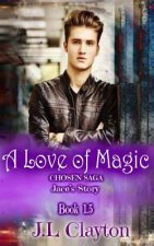 A Love of Magic: Chosen Saga Book 1.5